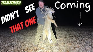 Coyote hunt  he came from out of no where..