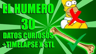 30 curiosidades sobre el HUMERO+ timelapse x STL