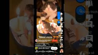 cute cat birthday song #viral