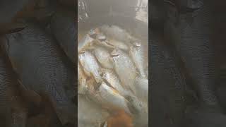 Really boiling! #fish #sour #soup #recipe #shorts