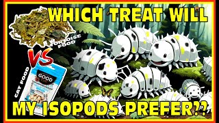 Isopod food challenge | Cod Vs Tortoise Food - Which One Will Win? Isopod House 4K