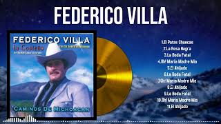 The Ultimate Hits of 2024 by Federico Villa A Playlist to Fall in Love With