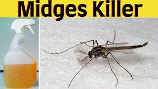 How to get rid of midges naturally from inside or outside of the house garden