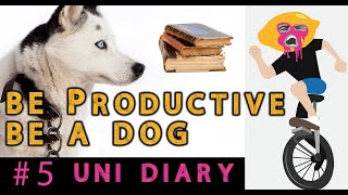 Unicycle Diary #5  -  Creative complex, productivity, and be a dog ramble.