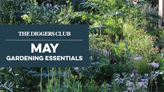 May Gardening Essentials