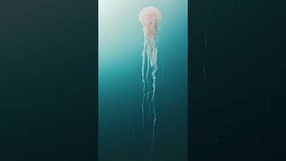 Close enough #jellyfish