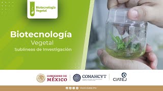 Biotecnología Vegetal