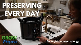 Everyday Preserving Projects | Every bit Counts Challenge | Week 1