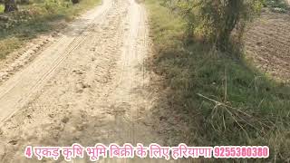 4 एकड़ कृषि भूमि बिक्री के लिए हरियाणा  | Land For Sale In Charkhi Dadri | सस्ती भूमि  | 9255380380