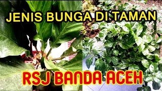 JENIS-JENIS 🌷 BUNGA🌷 DI TAMAN RSJ BANDA ACEH