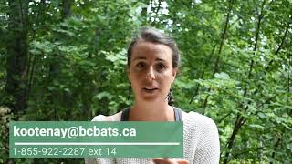 Kootenay Community Bat Project