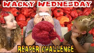 Wacky Wednesday 145 - DAD EATS THE HOTTEST CHILLI IN THE WORLD/ THE CAROLINA REAPER