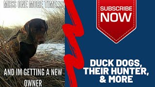 Duck hunting Tik Tok Compilation - deer, bear, best tik Tok hunting compilation