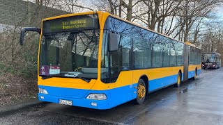 [Mitfahrt] Mercedes-Benz O530G (ErZuVg Wagen 0222|Ex VLG Gifhorn|ExEx Bremerhaven Bus)