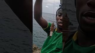 I CANT’T Believe He Caught Fish Like THIS PORTLAND, JAMAICA 🇯🇲 #travel #jamaica #nature #shorts