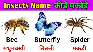 Kide Makode ke Naam Hindi & English me | Insects Name in English | Insect Names |किडे मकोड़ों के नाम