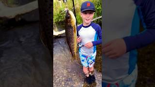 Boy is a Trout fishing pro !!Another Brown trout😎#kids #brown #trout #fishing #stream #fun #shorts