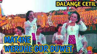 Tatin elisha rebutan duwet karo pak seno sampek gawe pak seno em0si #dalangseno #tatintitot #elisha