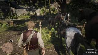 Red Dead Redemption 2 #17