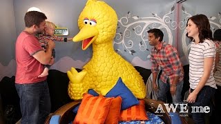 Big Bird Nest Bed! - Super-Fan Builds