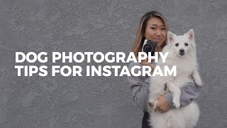 How to take the BEST DOG PHOTOS for Instagram | Easy Photography Tips