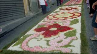 infiorata di San Pier Niceto 2009