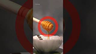 Why use this to scoop honey? #shots #youtubeshorts #shot #interestingfact #honey