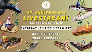 Snake Therapy's Anniversary Livestream- With Special SURPRISE GUEST!