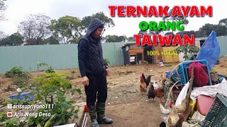 GREBEK RUMAH PEDAGANG AYAM || MUSLIM TAIWAN