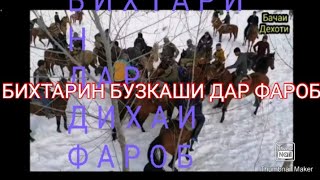 БУЗКАШИ БИХТАРИН ДАР ФАРОБ