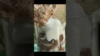 How to make chocolate shake at home 🍫🍫🍫🍫🍩🍩🍫🍪🧀☕🍪🥚⛄🍪🍫🍦😍😂💝❄️🍨💝🎂😂