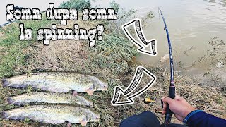 🎣 Cum sa prinzi somn la spinning? Cea mai tare partida de pescuit la somn🎣 Am prins somn dupa somn🎣