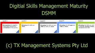 Digital Skills Management Maturity Overview