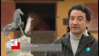 COACHING CON CABALLOS: David Russ de Russ Natural Horse Way en Espacio Empresa