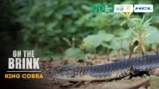 On The Brink S1: King Cobra | Trailer