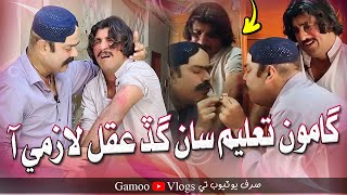 Gamoo Taleem Saan Ghad Akul Lazmi Aaa | Asif Pahore (GAMOO) | Gamoo Vlogs | Comedy Funny Video