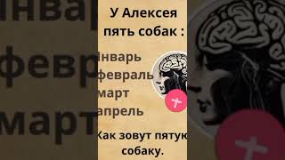 как зовут 5 собаку