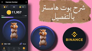 شرح بوت هامستر Hamster وطريقة الربح منه وكيفية السحب Hamster Kombat