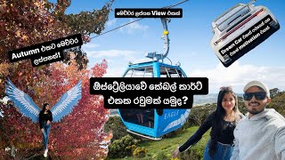 Cable cart එකක රවුමක් යමු😉|Autumn Season එක🍁|View එක🤩|Trip යන්නෙ කන්න🤪|Travel Vlog in Australia🇦🇺|