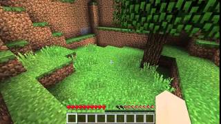 MINECRAFT ep03 : Alla ricerca del villaggio!