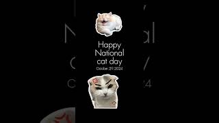 Happy National Cat Day #kittty #cat #catday #october29 #happycatday