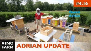 Aftermath Of The Swarms - Adrian Hive UPDATE