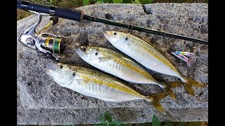 Foça LRF istavrit avı ''Storm Gomoku Dense & Micro'' Light spinning for horse mackerel アジングゲーム