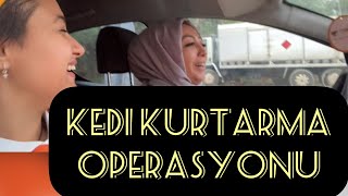 KEDİ KURTARMA OPERASYONU ||ANNEMİN GERÇEK YÜZÜ ||