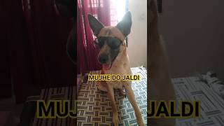 Ye apple mujhe do bhut tasty hota hai apple jaldi do mujhe #shorts #viral #trendingshorts #dogs