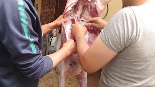 عيد مبارك سعيد 🐏🐏🐏أجيو تشوفو أجواء العيد عندنا