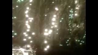 dyker lights 2011