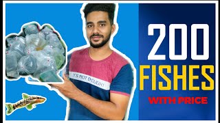 Unboxing all imported fishes to Store with price | Pets and Life