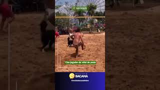 cachorro bom no vôlei de praia