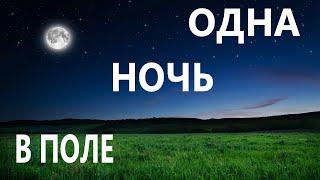 Звуки Природы/Звуки Ночного Поля/Звук Поля/Ночь В Поле/Звуки Сверчков/Слушать В Наушниках.